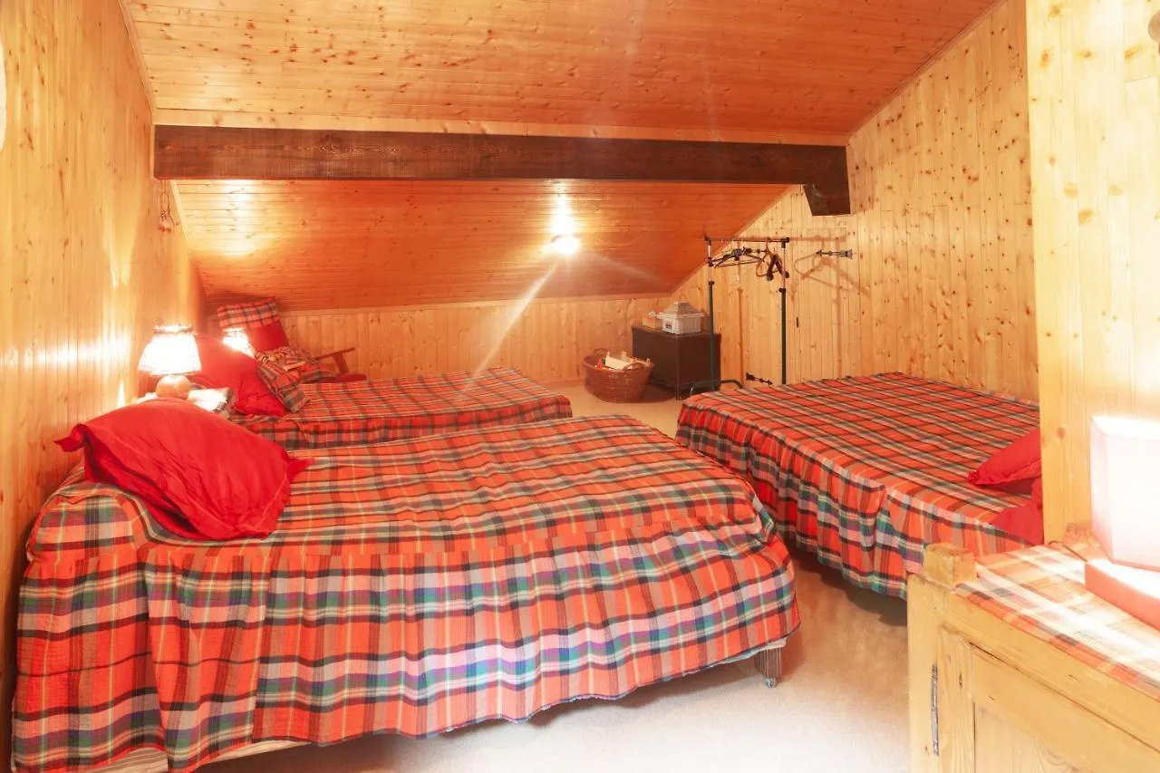 Grand Appartement Proche Gd Bornand Glieres-Val-de-Borne Apartment