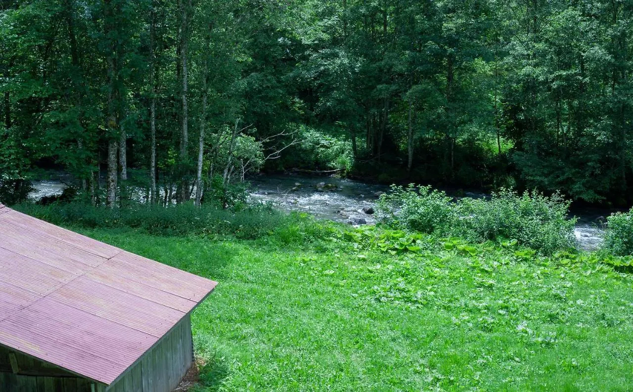 Apartment Grand Appartement Proche Gd Bornand Glieres-Val-de-Borne